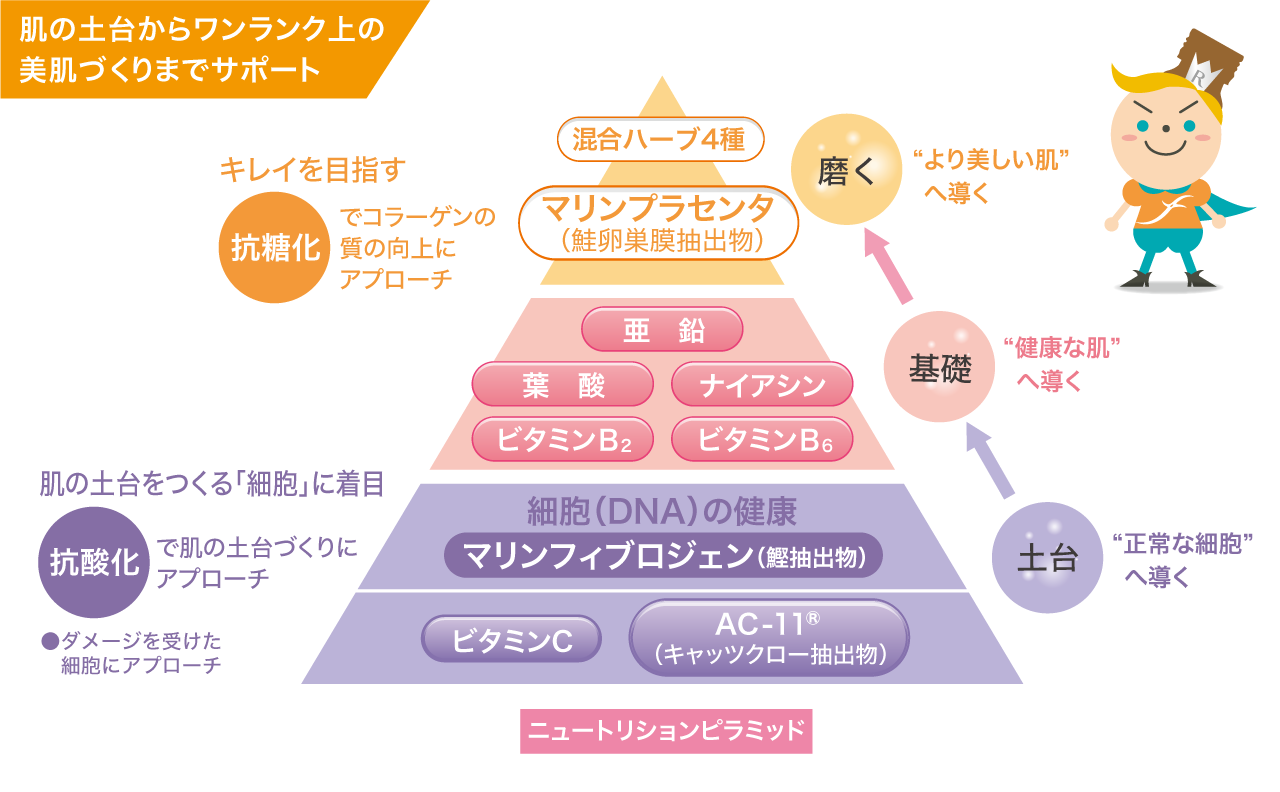 美肌づくりサポート SPTM セプテム リアンディーナ フォルテ 3箱 Yahoo