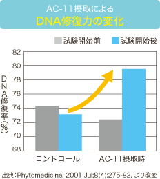 AC-11摂取によるDNA修復力の変化
