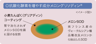 メイン成分を166%に増量して、ビーソディンがリニューアル! | きれいの 