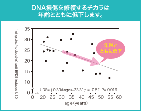 DNA損傷を修復するチカラは年齢とともに低下します。