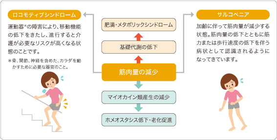 エイ エックス セブン ビーエム セラム ＆ エモーショナル プロ 