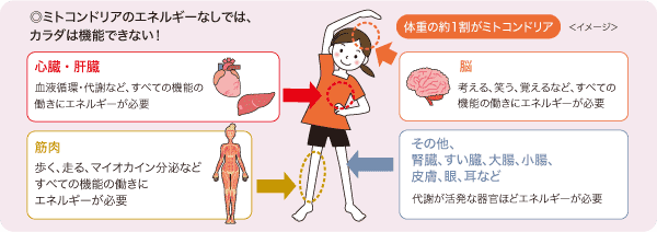 2022年 あけまして、あたらしい自分へ。｜きれいのレシピ by セプテム 