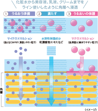 化粧水から美容液、乳液、クリームまでをライン使いしたように角層へ浸透