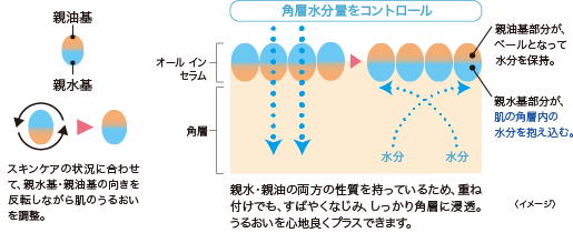 角層水分量をコントロール