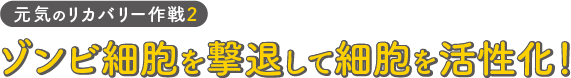 元気のリカバリー作戦2ゾンビ細胞を撃退して細胞を活性化！