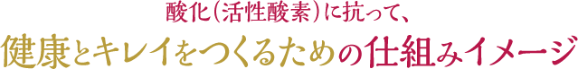 酸化（活性酸素）に抗って、健康とキレイをつくるための仕組みイメージ