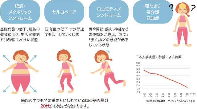 筋肉の中でも特に重要といわれている脚の筋肉量は20代から減少が始まります。