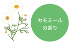 カモミールの香り