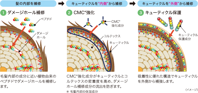 3つの毛髪補修機能