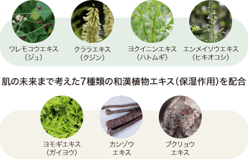 肌の未来まで考えた7種類の和漢植物エキス（保湿作用）を配合