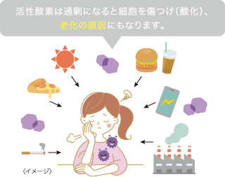 活性酸素は過剰になると細胞を傷つけ（酸化）、老化の原因にもなります。