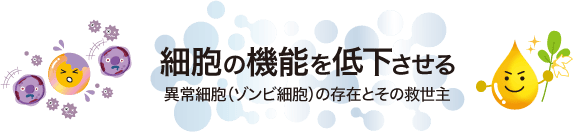 細胞の機能を低下させる異常細胞（ゾンビ細胞）の存在とその救世主