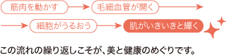 この流れの繰り返しこそが、美と健康のめぐりです。