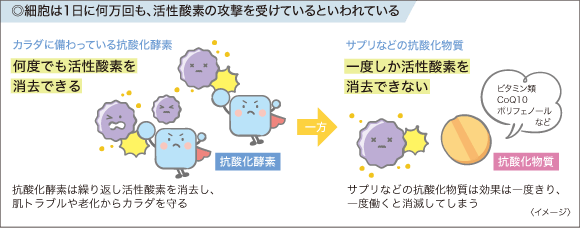 ◎細胞は1日に何万回も、活性酸素の攻撃を受けているといわれている