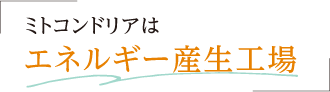 ミトコンドリアはエネルギー産生工場