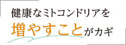健康なミトコンドリアを増やすことがカギ