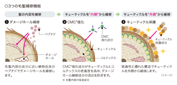 3つの毛髪補修機能