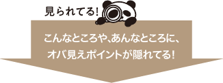 見られてる！ こんなところや、あんなところに、 オバ見えポイ…